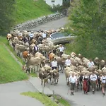 Ferienhaus Nussbaumer *