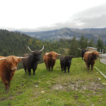Ferienhaus Nussbaumer Sibratsgfäll